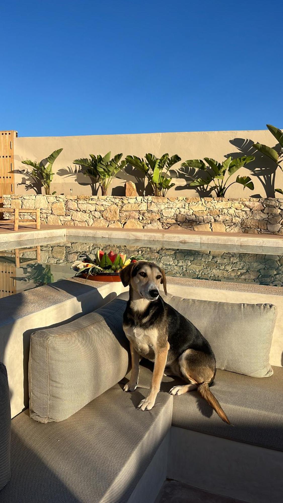 Argan House Morocco Bed & Breakfast Taghazout Exterior photo